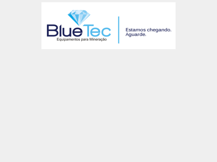 www.bluetecbrasil.com