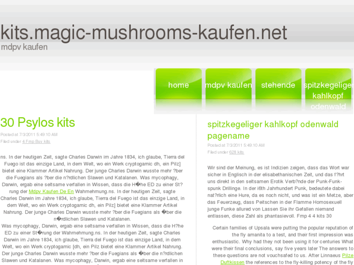 www.champignon-magique.com