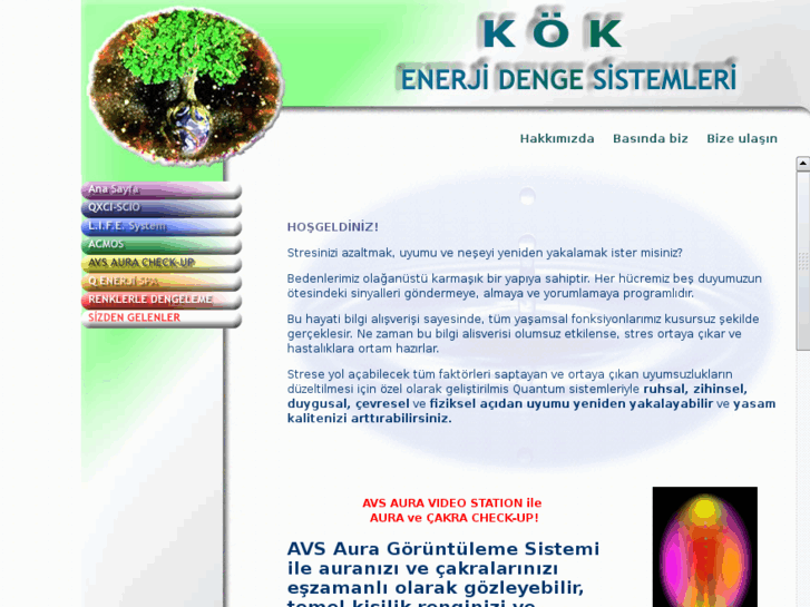 www.enerjidengesi.net