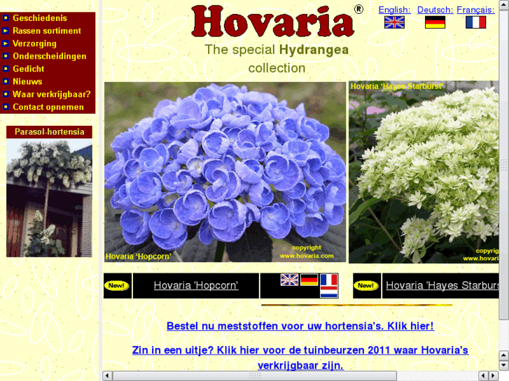 www.hortensie.info