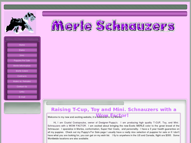 www.merletoyschnauzers.com