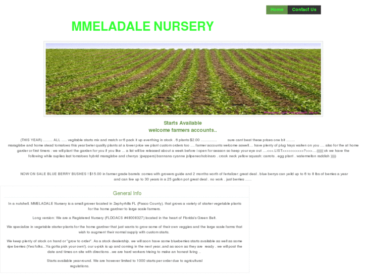 www.mmeladale.com