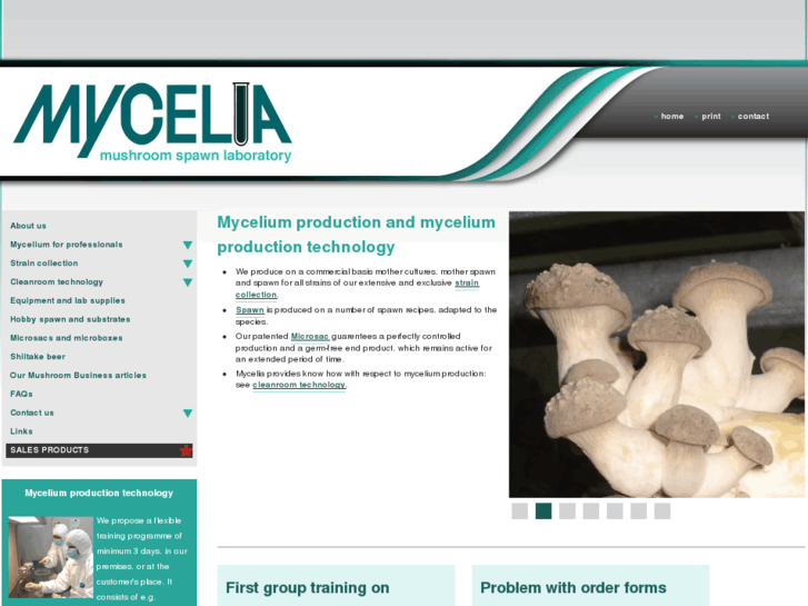 www.mycelia.be