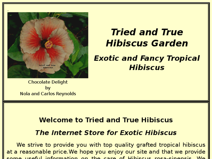www.triedandtruehibiscus.com