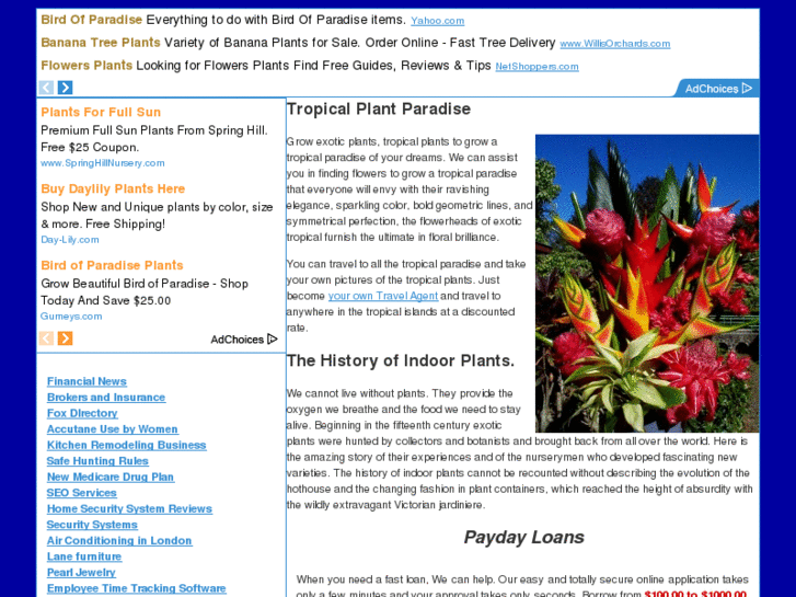 www.tropicalplantparadise.com