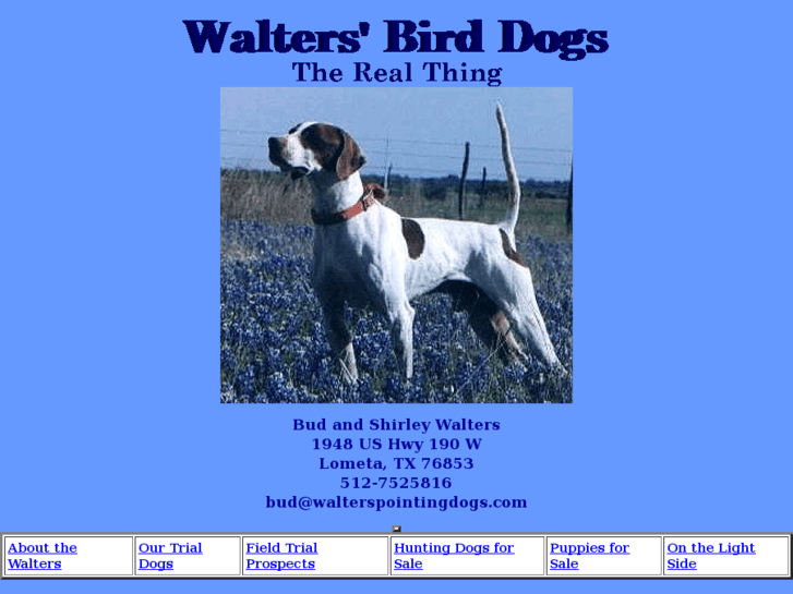 www.walterspointingdogs.com