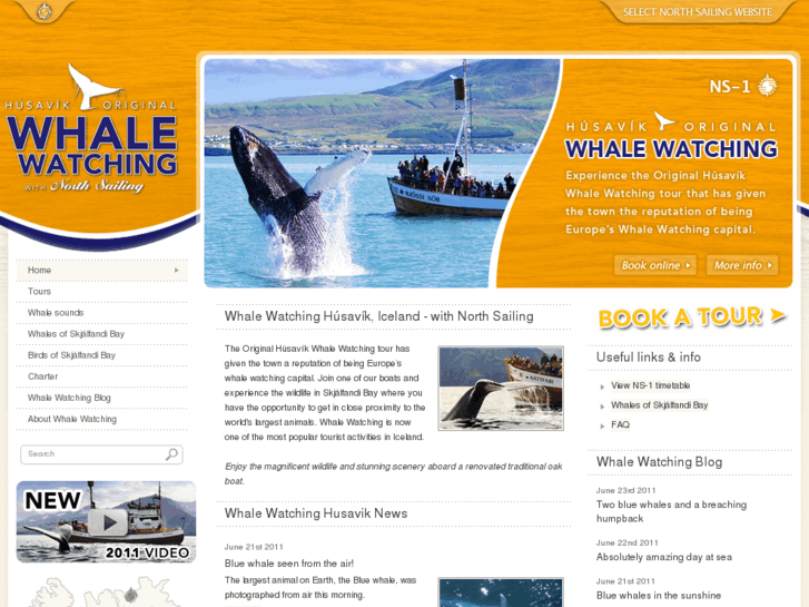 www.whalewatchinghusavik.is