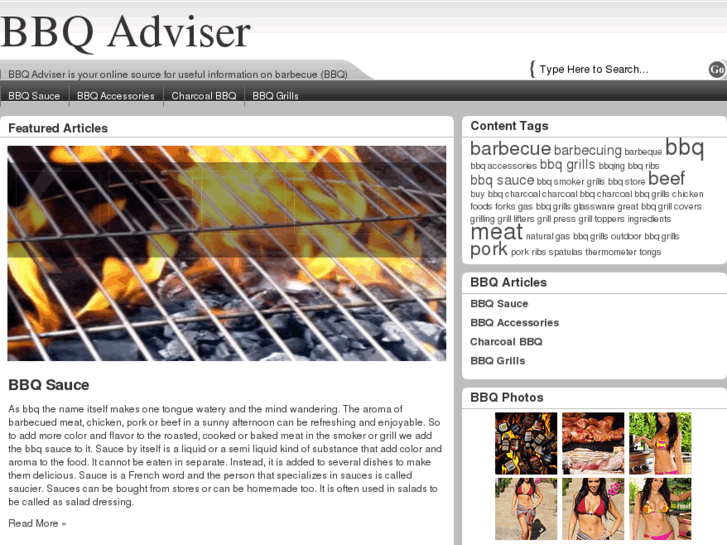 www.bbqadviser.com