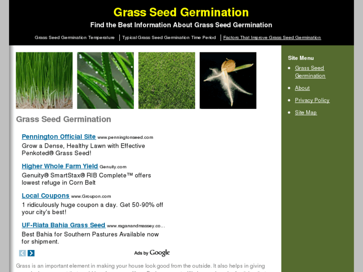 www.grassseedgermination.com