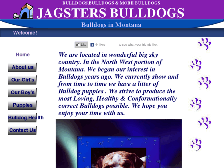 www.jagstersbulldogs.com