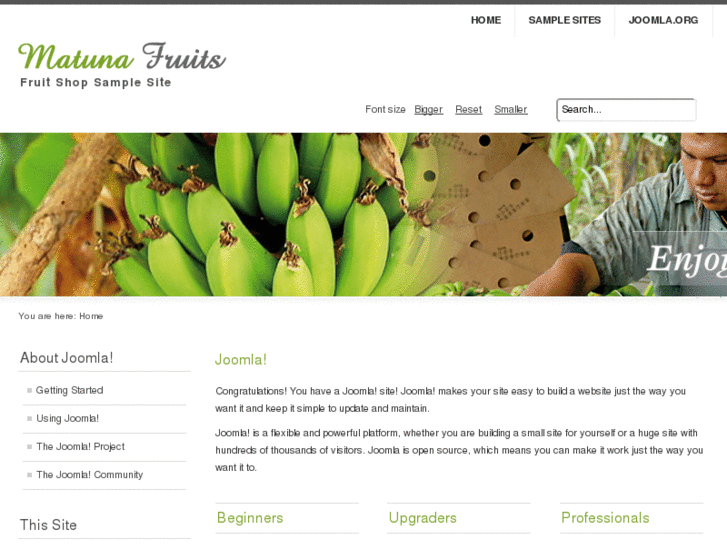www.lasgaviotas.biz