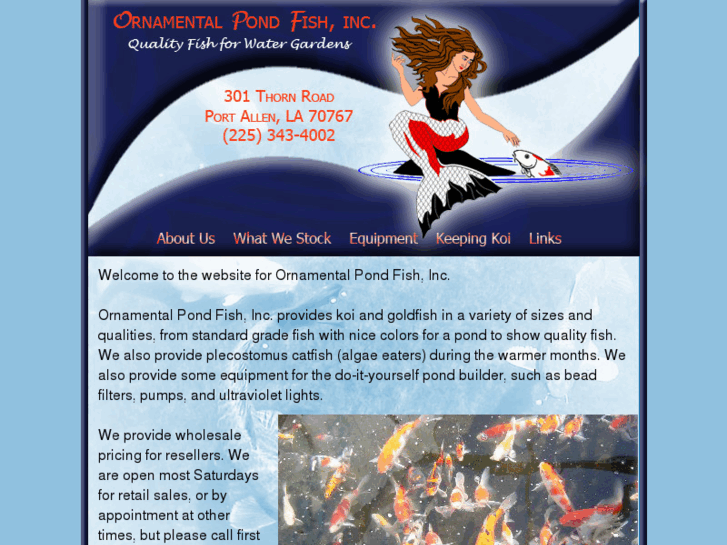 www.ornamentalpondfish.com