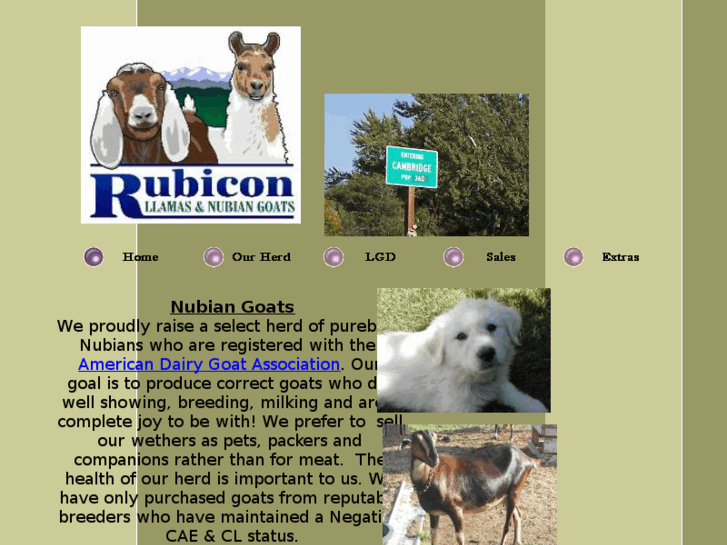 www.rubiconherd.com