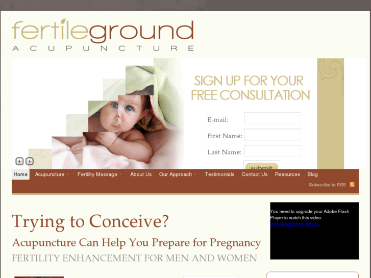 www.acupuncturistforinfertility.com