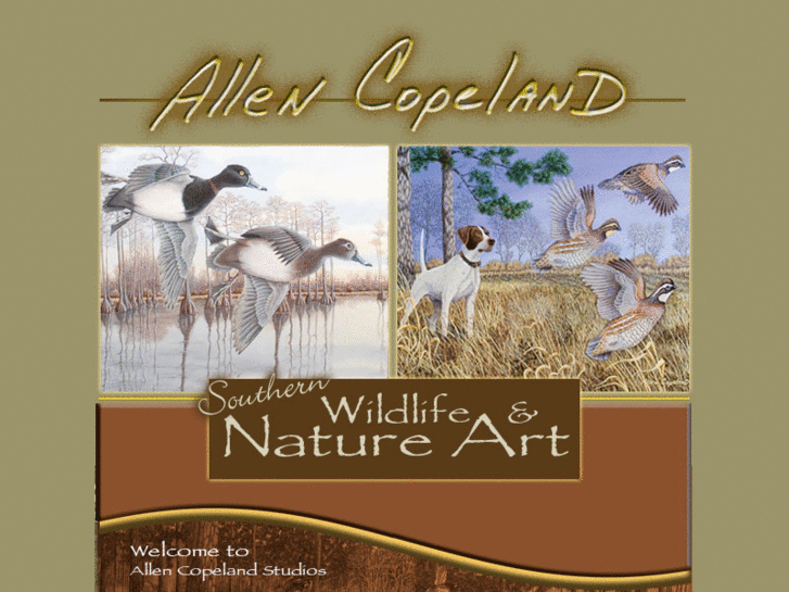 www.allencopelandart.com