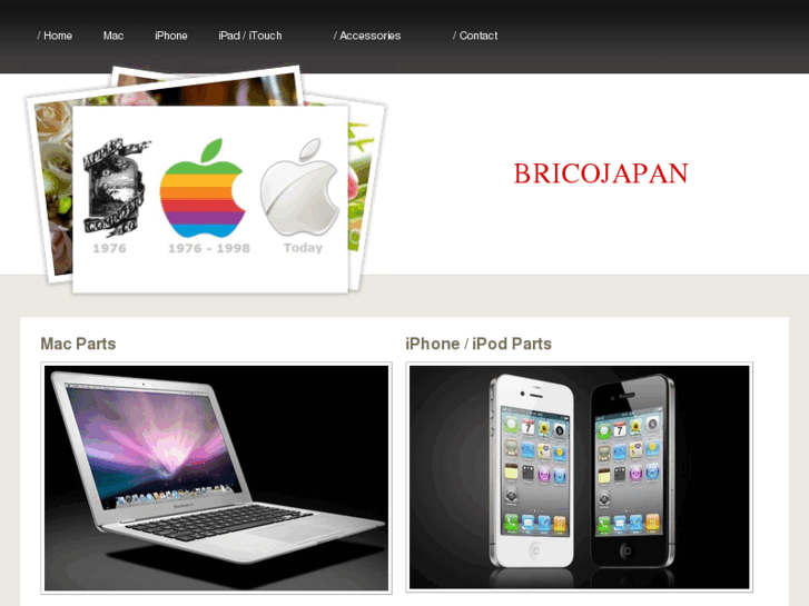 www.bricojapan.com