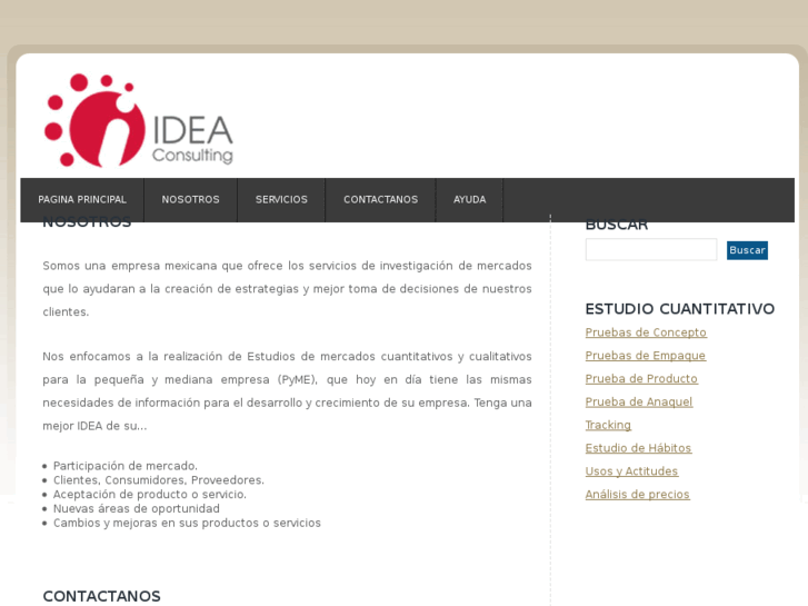 www.ideaconsulting.com.mx