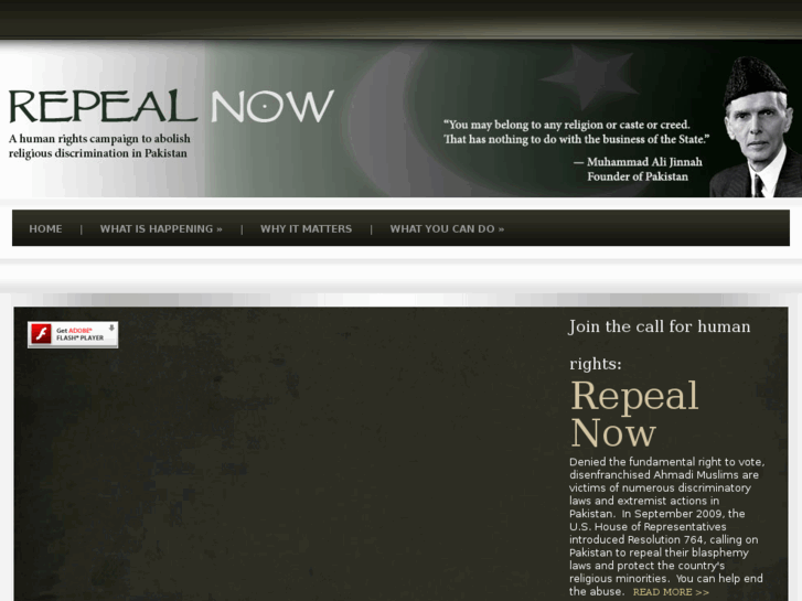 www.repealnow.net