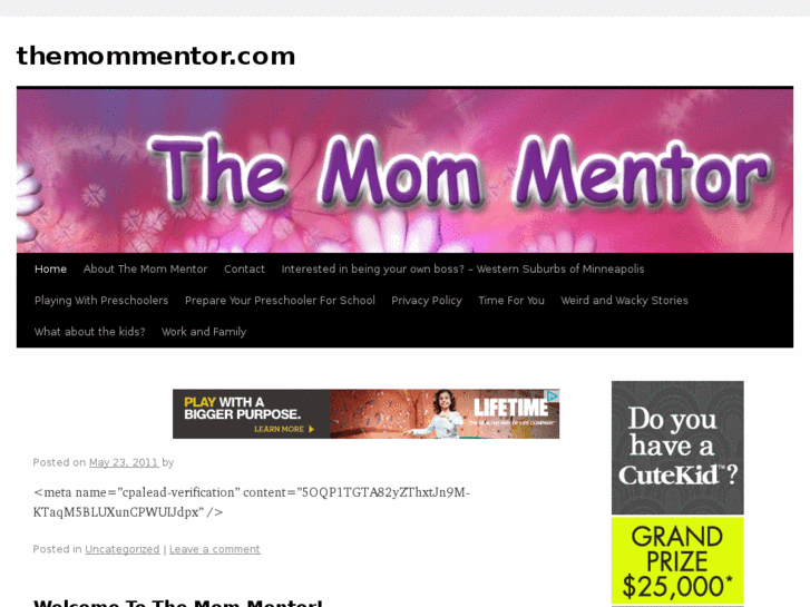 www.themommentor.com