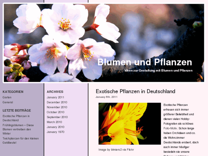 www.blumenpflanzen.com