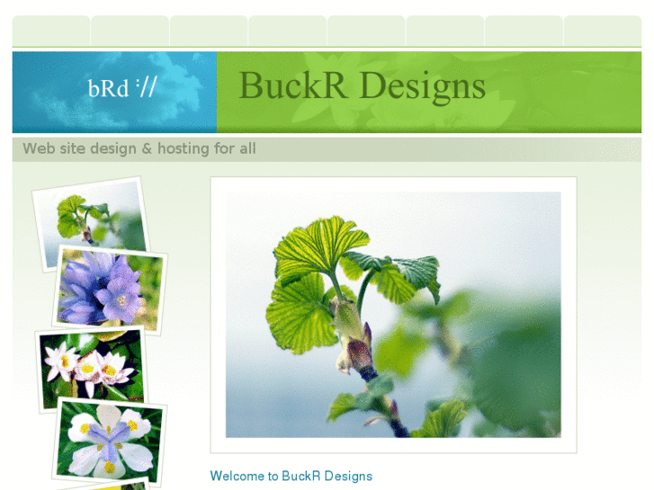 www.buckrdesigns.com