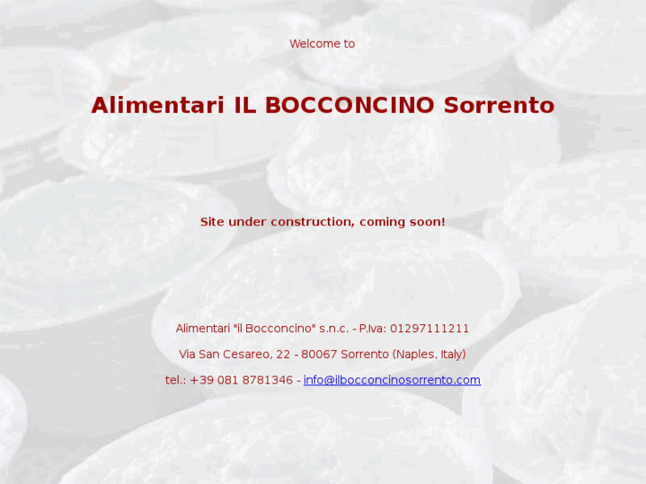 www.ilbocconcinosorrento.com