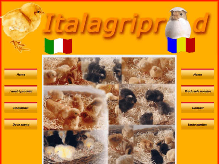 www.italagriprod.com