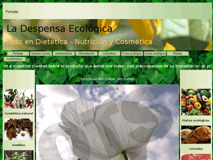 www.ladespensaecologica.es