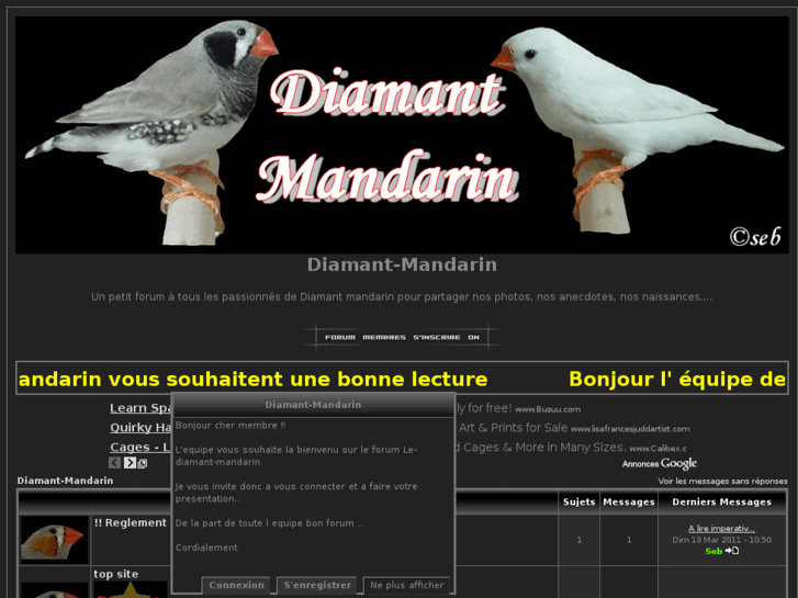 www.le-diamant-mandarin.com