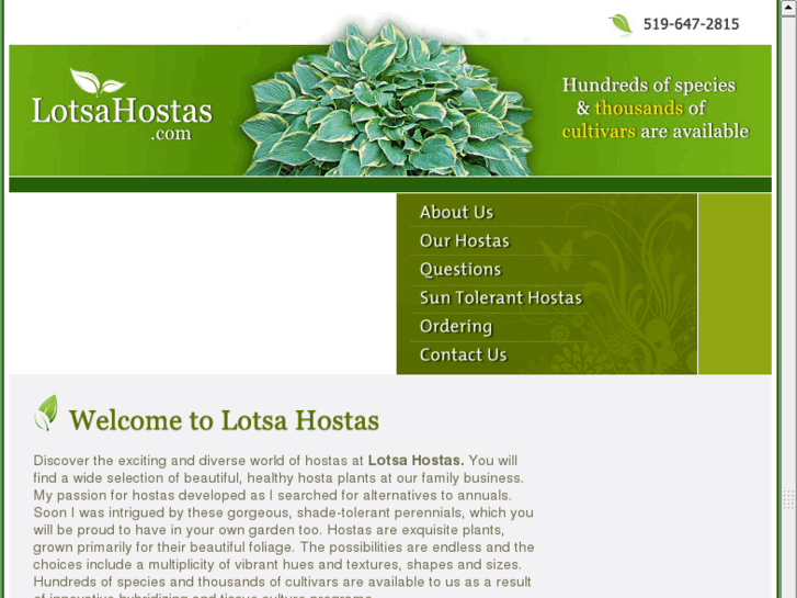 www.lotsahostas.com