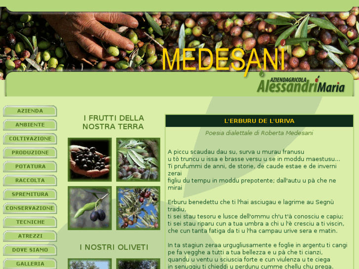 www.medesani.com