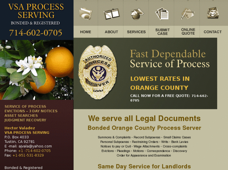 www.orangecountyprocessserver.info