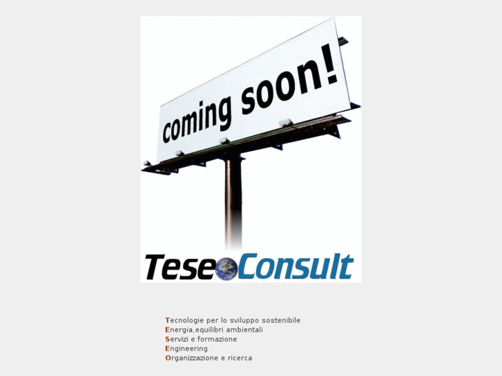 www.teseoconsult.com