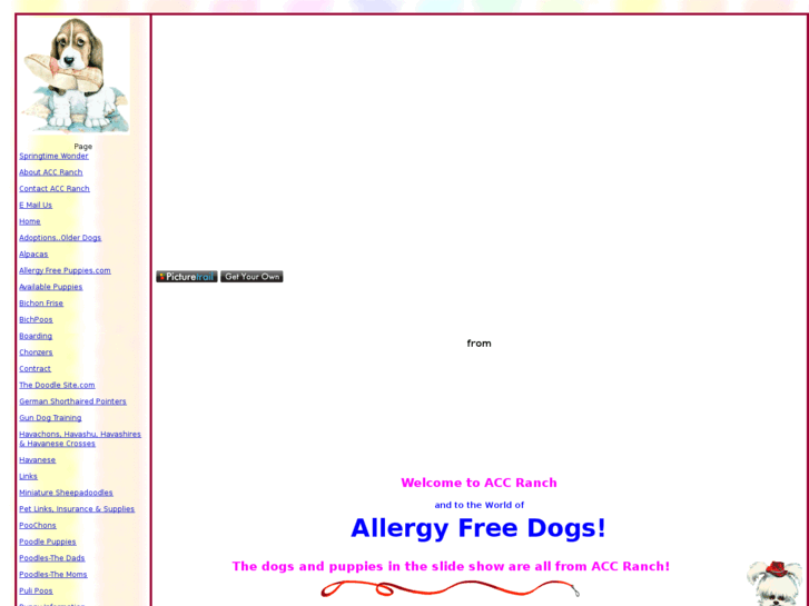 www.allergyfreepuppies.com