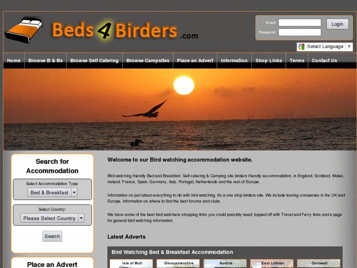 www.beds4birders.com