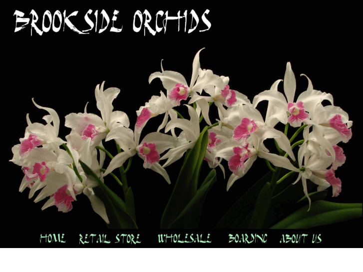 www.brookside-orchids.com