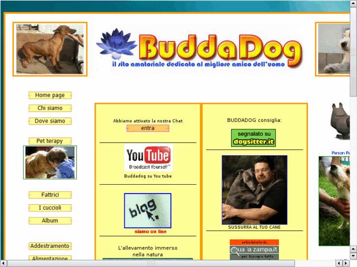 www.buddadog.it