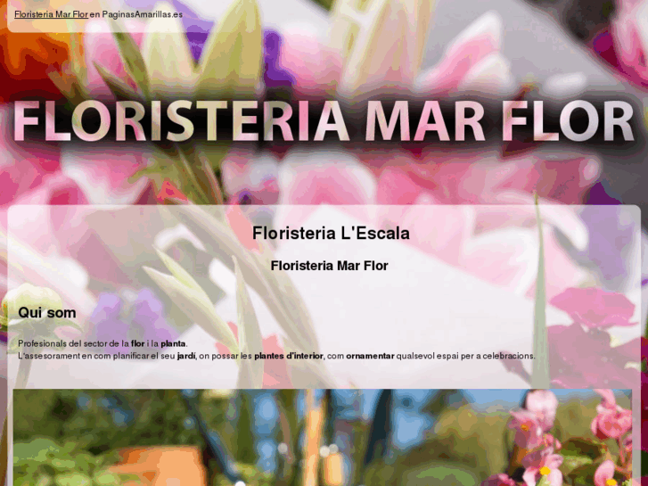 www.floristeriamarflor.com