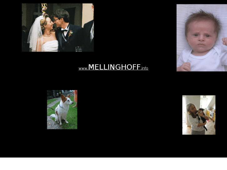 www.mellinghoff.info