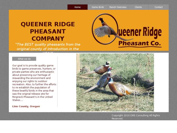 www.qrpheasants.com