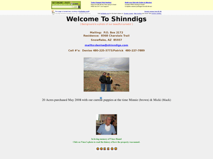 www.shinndigs.com