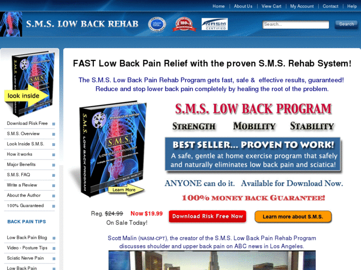 www.smslowbackpain.com