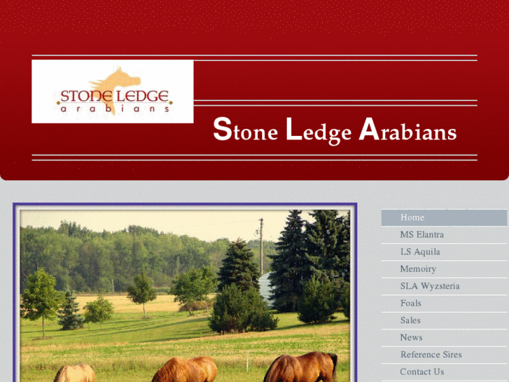 www.stoneledgearabians.com