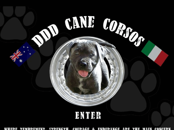 www.dddcanecorsos.com