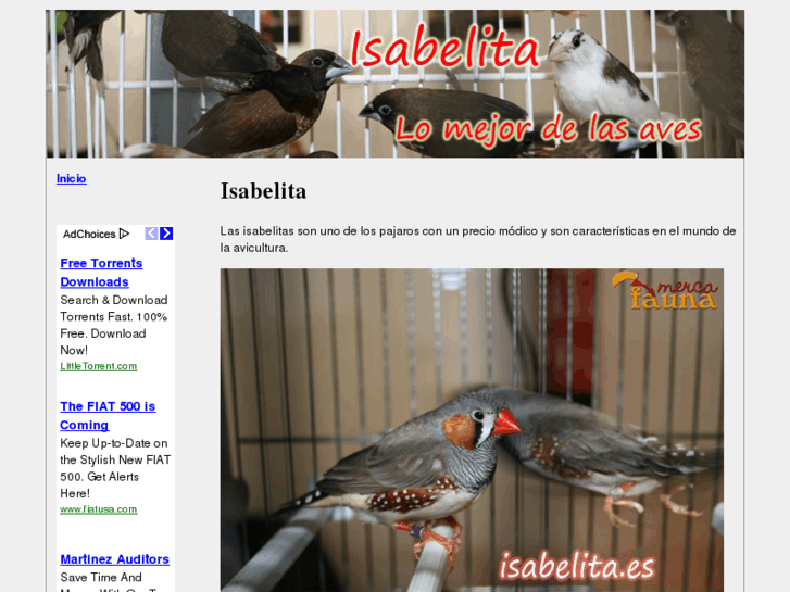 www.isabelita.es