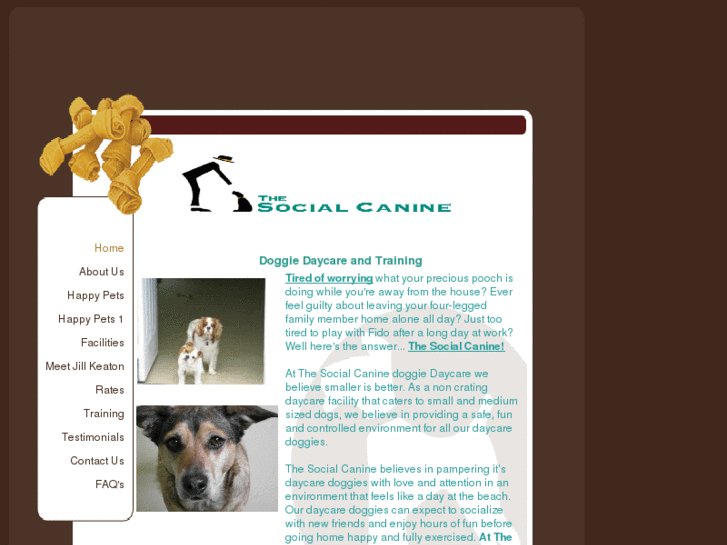 www.thesocialcanine.com