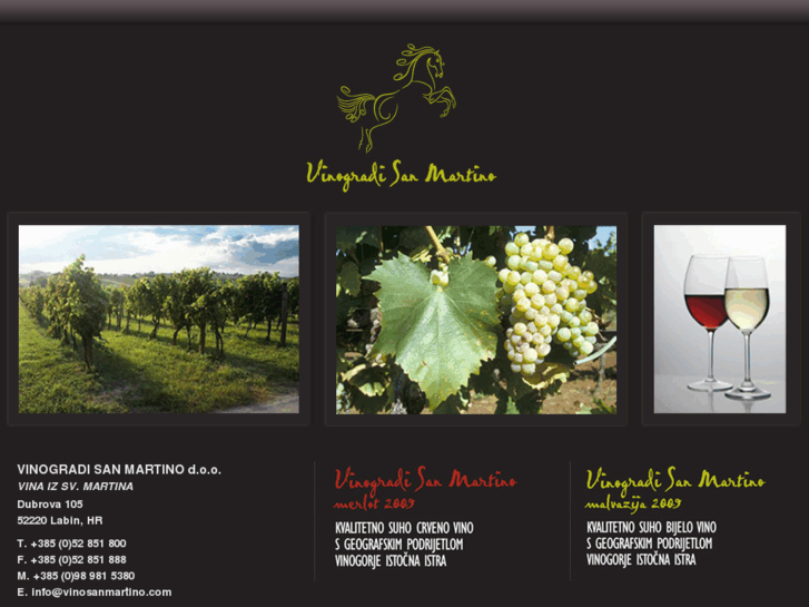 www.vinosanmartino.com