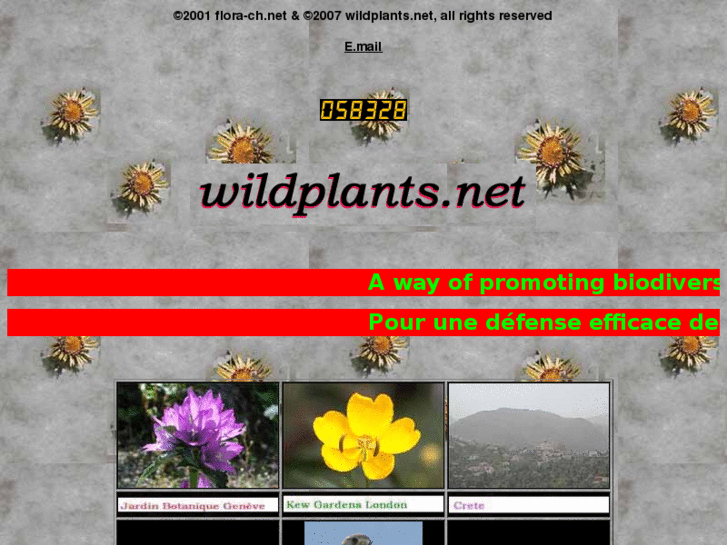 www.wildplants.net