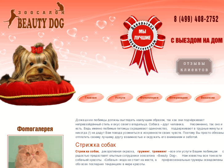 www.beauty-dog.ru