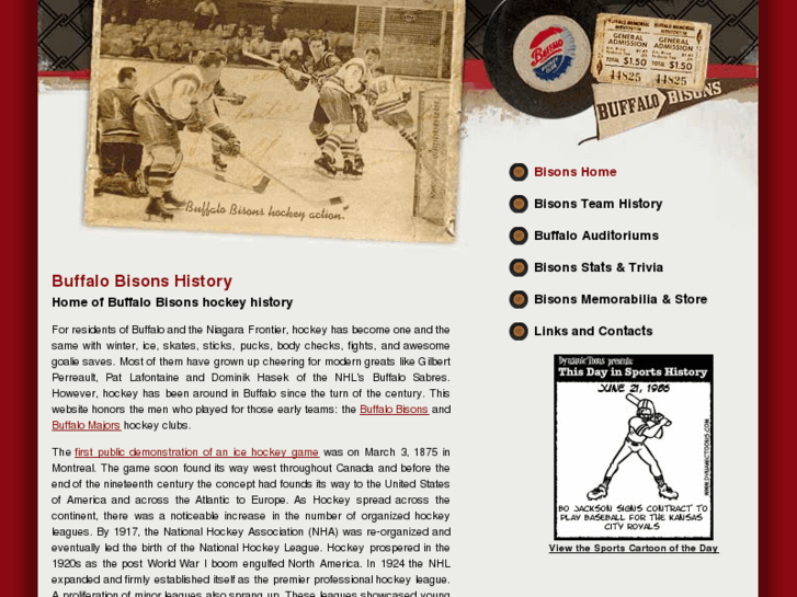 www.bisonshistory.com